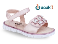 Shoe